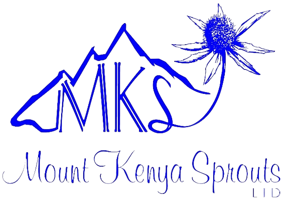 Mt Kenya Sprouts